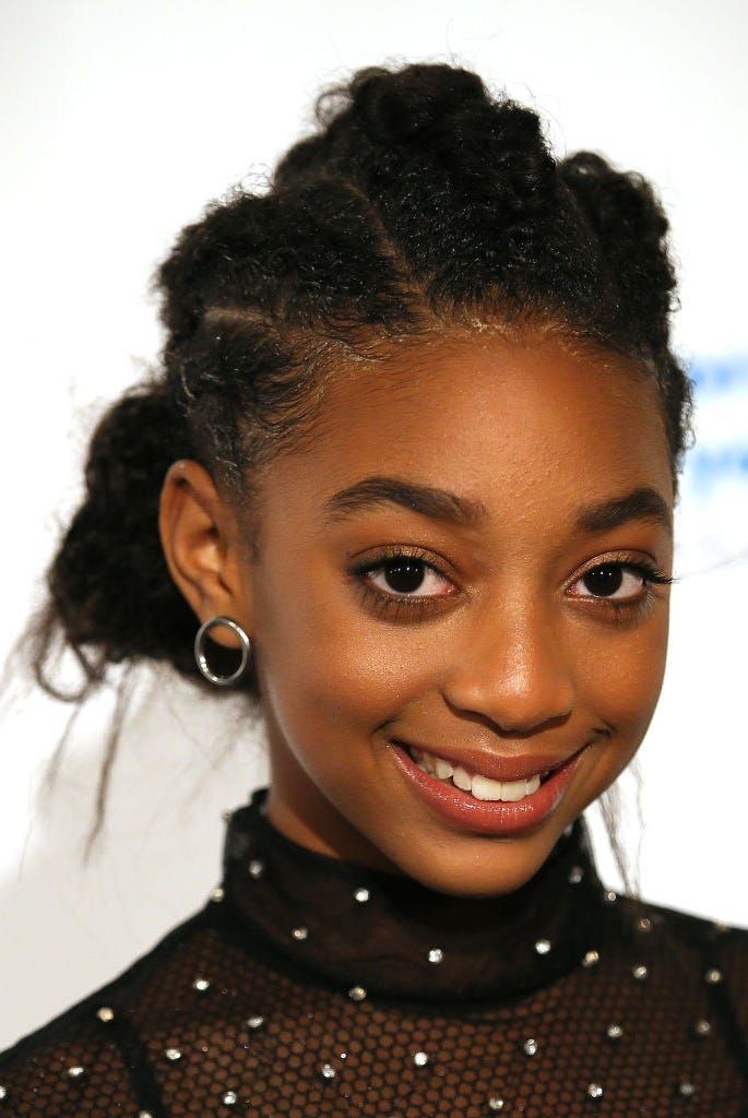 Coily Updo with Braids and Twists — Hairstyles for Teens