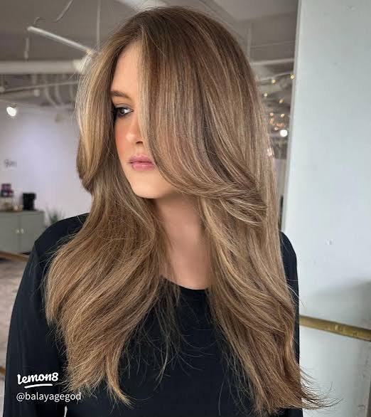 Teddy Bear Bronde Balayage Visual Idea Teddy Bear Bronde Balayage Visual Idea — Teddy Bear Brown Hair