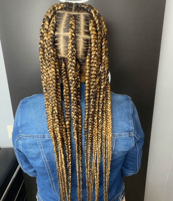 Striking Black and Blonde Highlights Striking Black and Blonde Highlights — Pop Smoke Braids