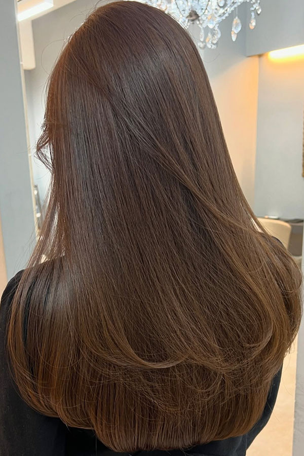 Silky Mocha Brown Long Hair with Soft Layers