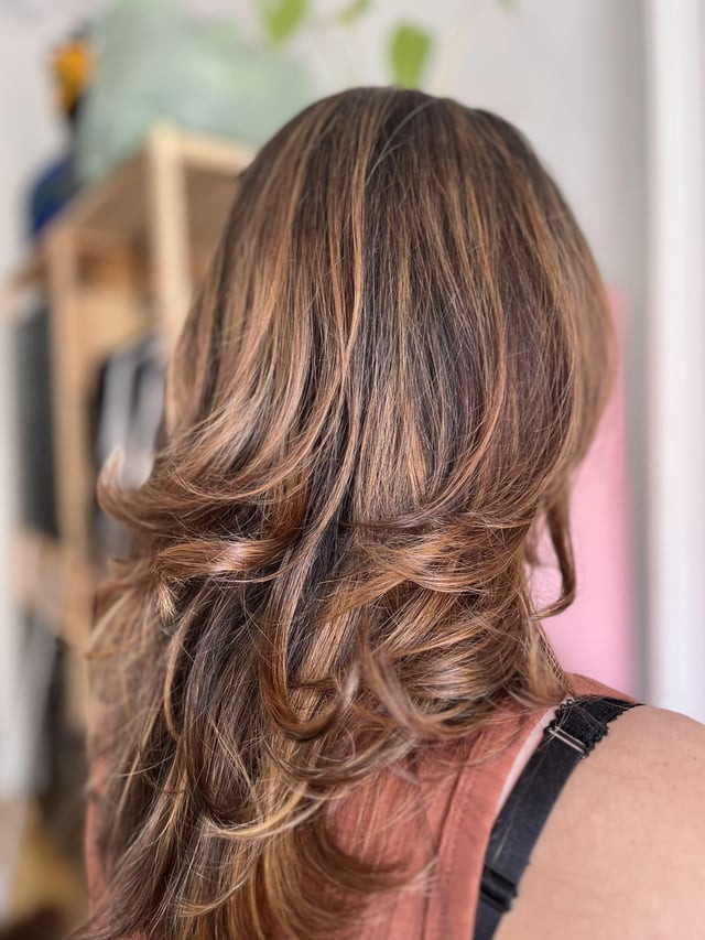Mid-Back Wavy Hair with Soft Light Brown Highlights Mid-Back Wavy Hair with Soft Light Brown Highlights