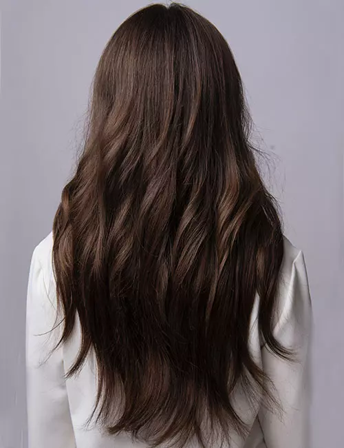 Straight Mid-Back Layers Volume Straight Mid-Back Layers Volume — Hairstyles for Thick Hair