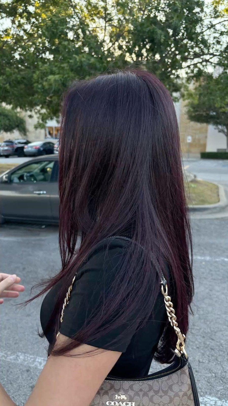 Dark Brown With Subtle Red Sheen Dark Brown With Subtle Red Sheen — Red and Black Hair
