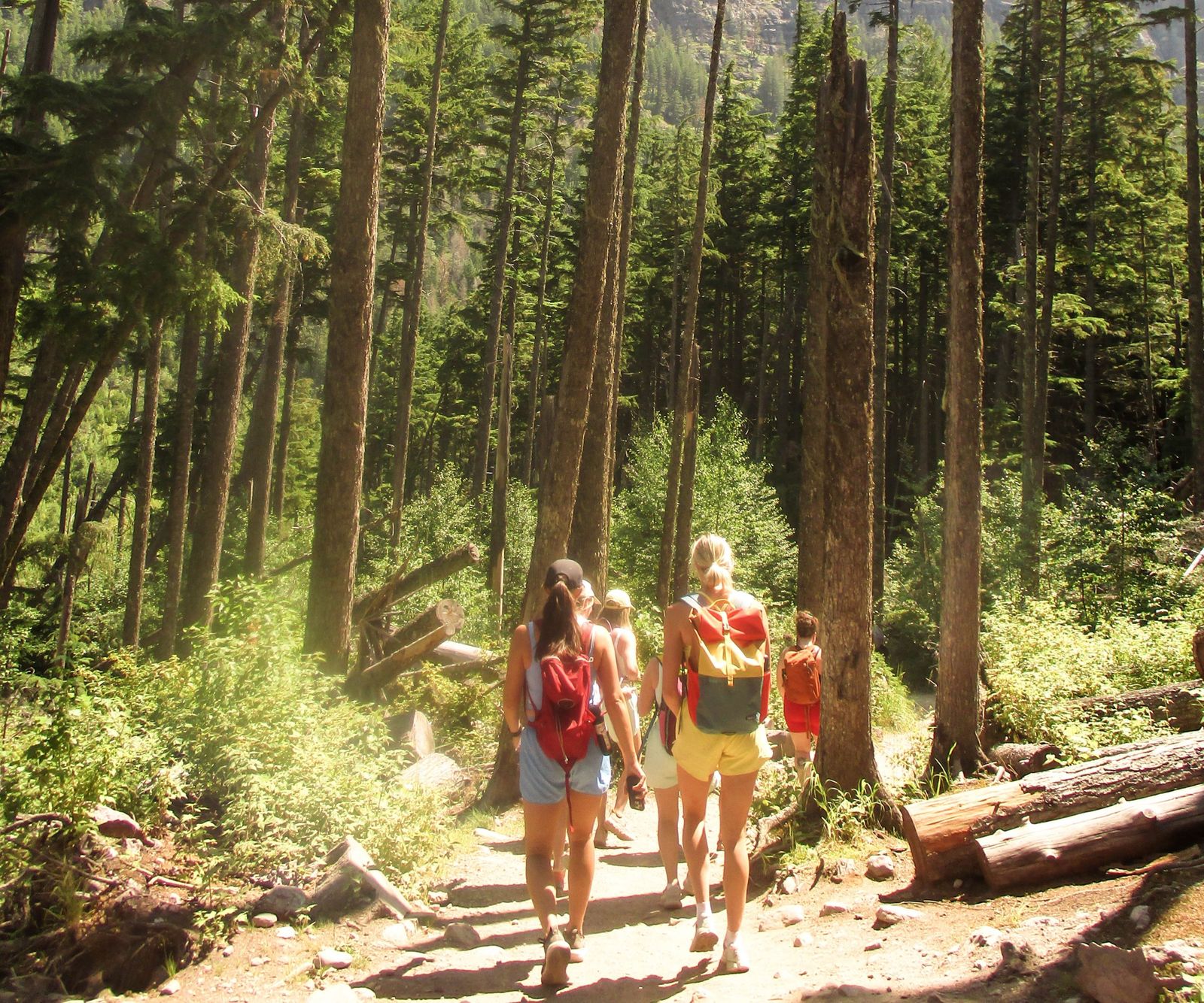 Group Hike Essentials: T-shirts, Shorts, and Backpacks Group Hike Essentials: T-shirts, Shorts, and Backpacks — National Park Outfits
