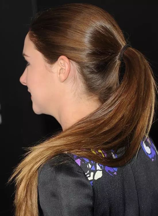 Sleek Medium Brown Ponytail — Hairstyles for Teens