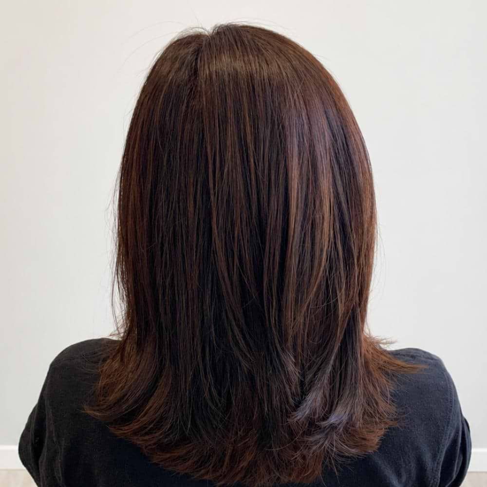 Dark Brown With Auburn Highlights Dark Brown With Auburn Highlights — Hair Color for Hazel Eyes