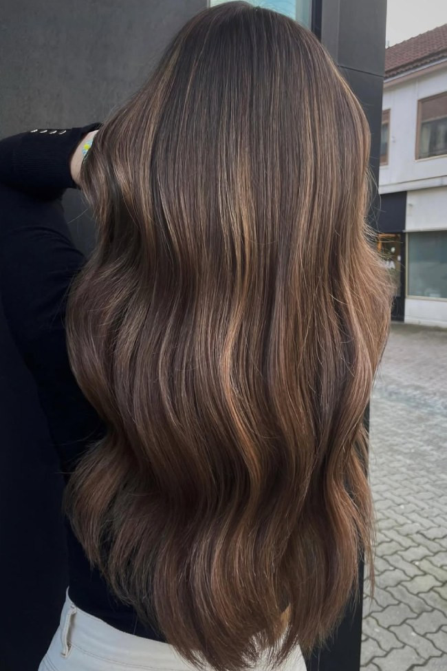 Dimensional Mocha Highlights on Medium Density — Mocha Brown Hair