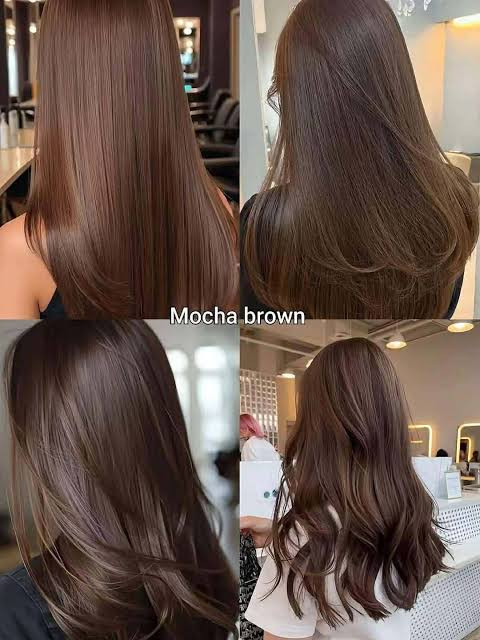 Fine Hair Mocha Blowout With Subtle Highlights — Mocha Brown Hair