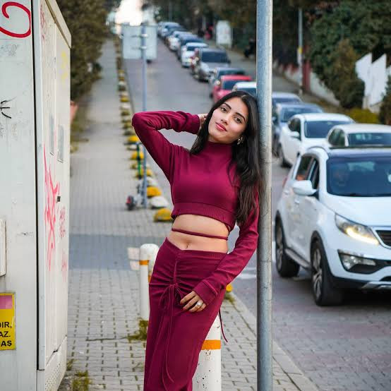 Maroon Jersey Knit Mock Neck Crop Top and Ruched Maxi Skirt — Turkey Outfits