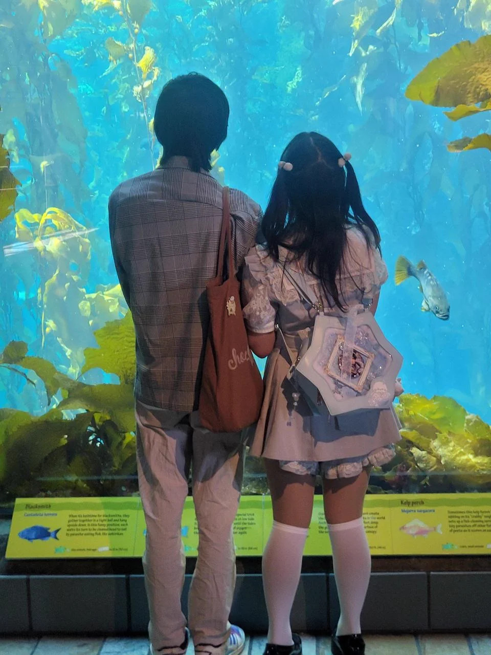 Sweet Ruffled Dress with Loafers for an Aquarium Adventure — Aquarium Outfits