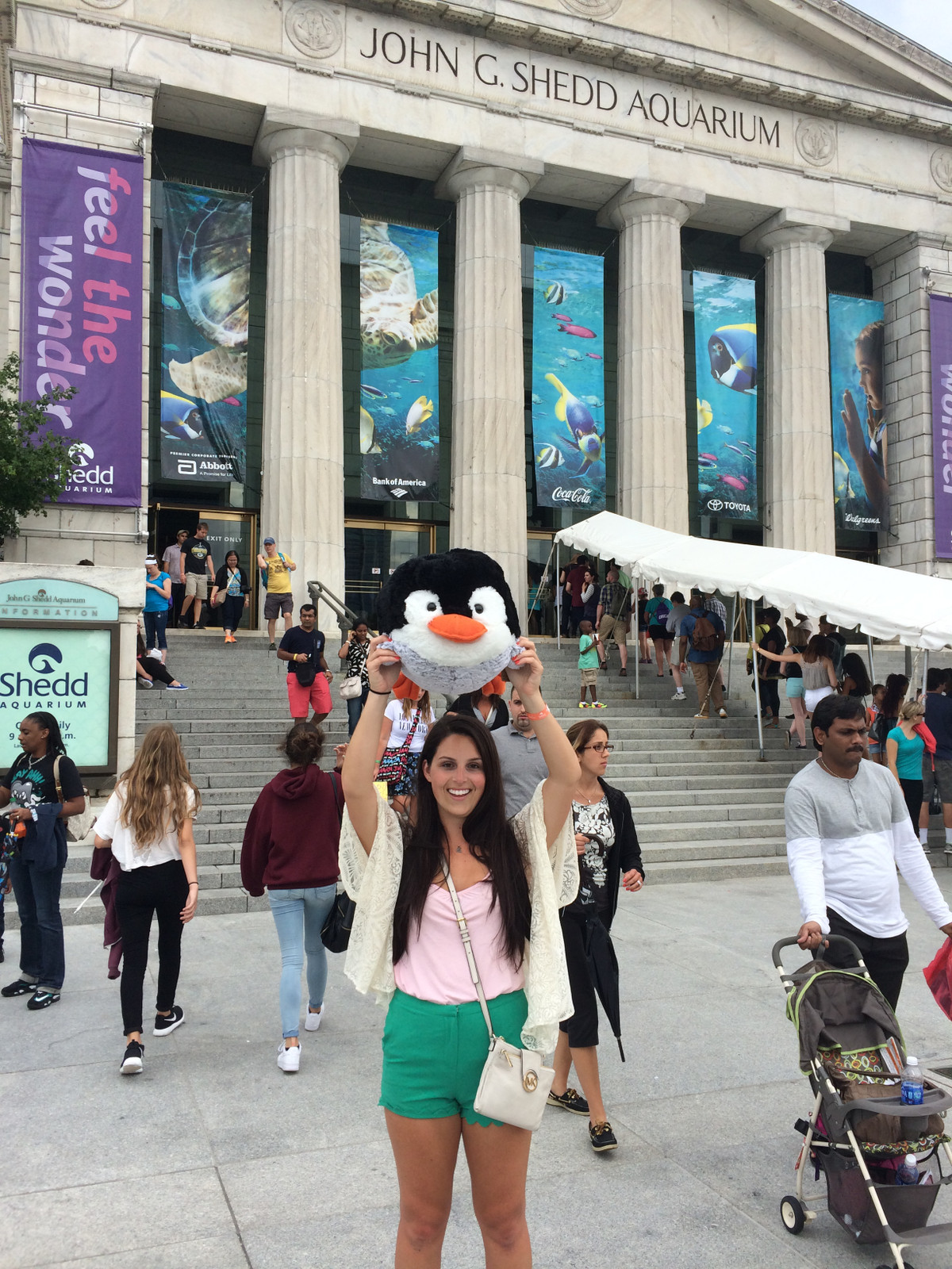 The Day at Shedd Aquarium |